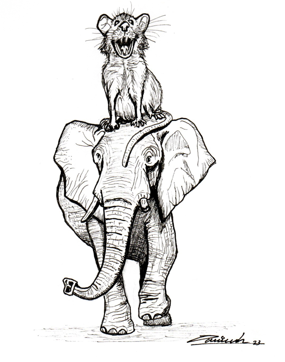 Elefante valiente