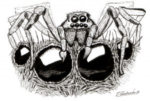 Inktober 2023. Día 2. Arañas - Spiders